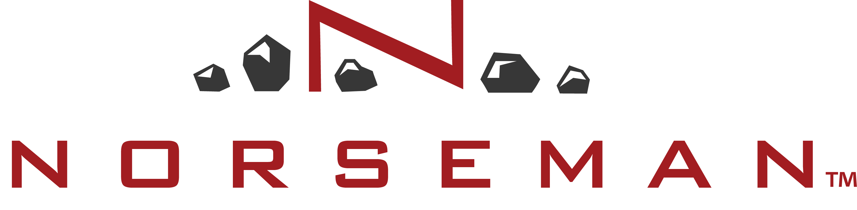 Norseman Equipment Cybrac